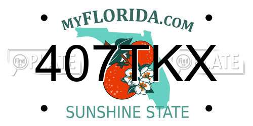 407TKX Florida License Plate