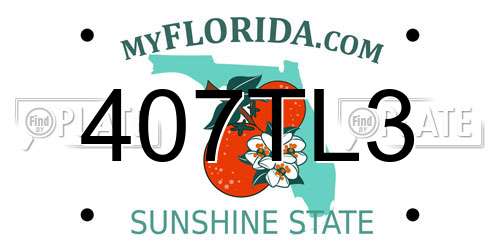 407TL3 Florida License Plate