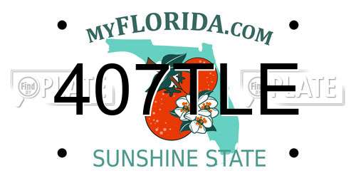 407TLE Florida License Plate