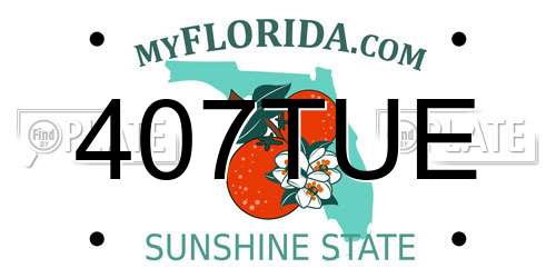 407TUE Florida License Plate