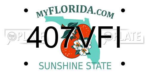 407VFI Florida License Plate