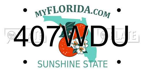 407WDU Florida License Plate