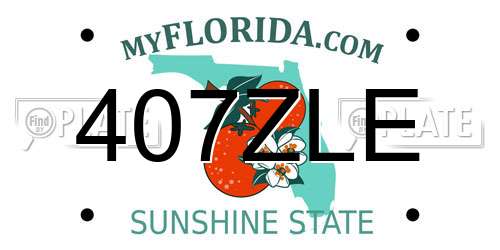 407ZLE Florida License Plate