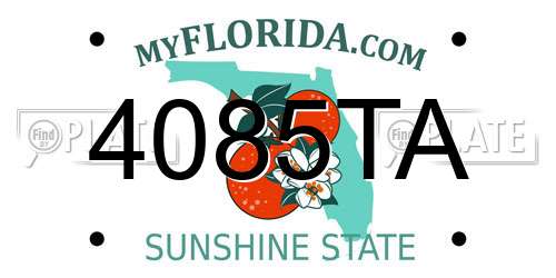 4085TA Florida License Plate