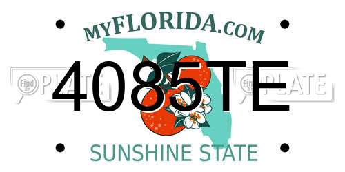 4085TE Florida License Plate