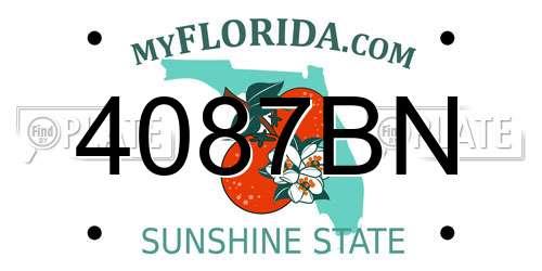 4087BN Florida License Plate