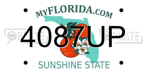 4087UP Florida License Plate
