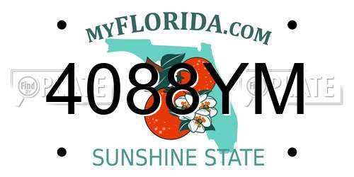 4088YM Florida License Plate