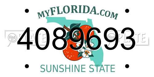 4089693 Florida License Plate