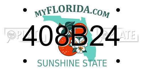 408B24 Florida License Plate