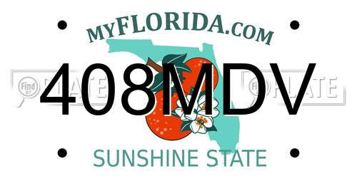 408MDV Florida License Plate
