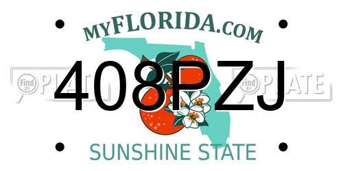 408PZJ Florida License Plate