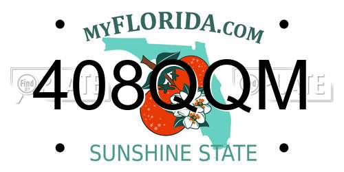408QQM Florida License Plate