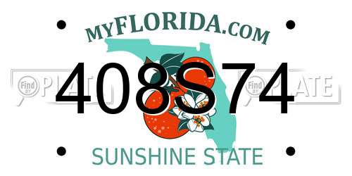 408S74 Florida License Plate