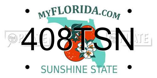 408TSN Florida License Plate
