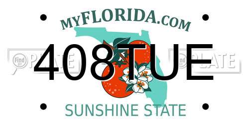 408TUE Florida License Plate