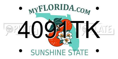 4091TK Florida License Plate