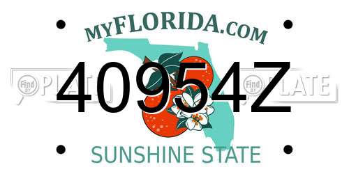 40954Z Florida License Plate
