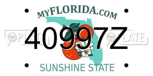 40997Z Florida License Plate