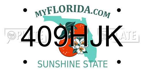 409HJK Florida License Plate