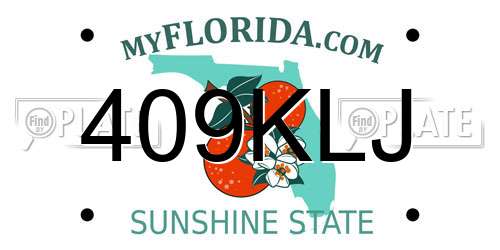 409KLJ Florida License Plate