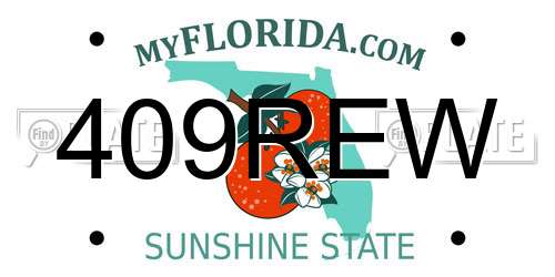 409REW Florida License Plate