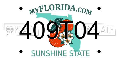 409T04 Florida License Plate