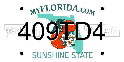 409TD4 Florida License Plate