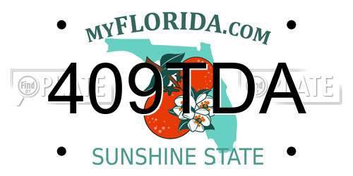 409TDA Florida License Plate