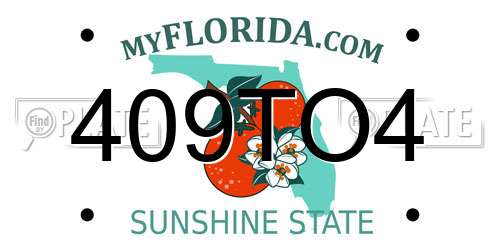 409TO4 Florida License Plate