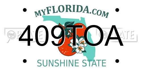 409TOA Florida License Plate