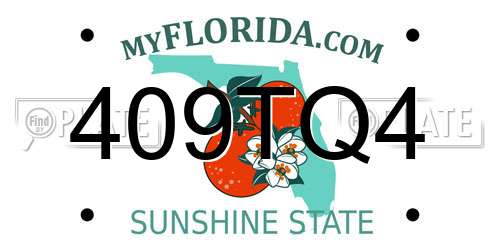 409TQ4 Florida License Plate