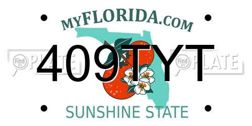 409TYT Florida License Plate