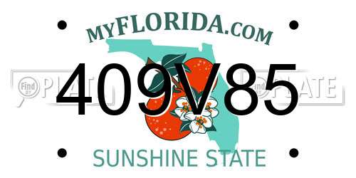 409V85 Florida License Plate