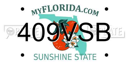 409VSB Florida License Plate