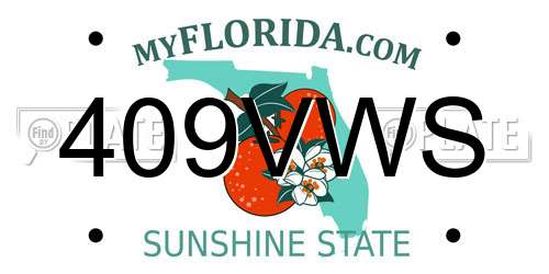 409VWS Florida License Plate