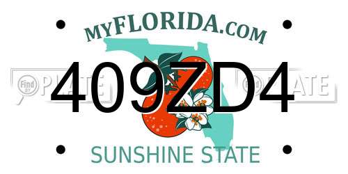 409ZD4 Florida License Plate