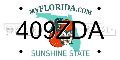 409ZDA Florida License Plate