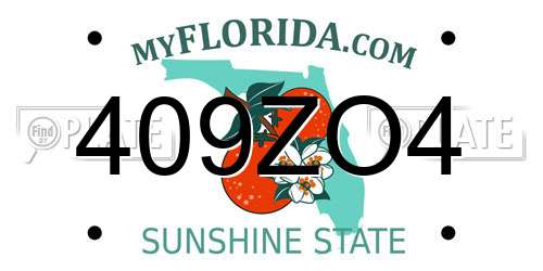 409ZO4 Florida License Plate