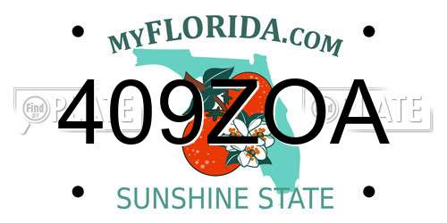 409ZOA Florida License Plate
