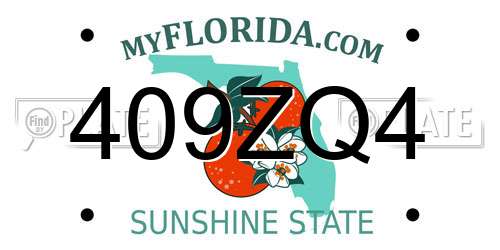 409ZQ4 Florida License Plate