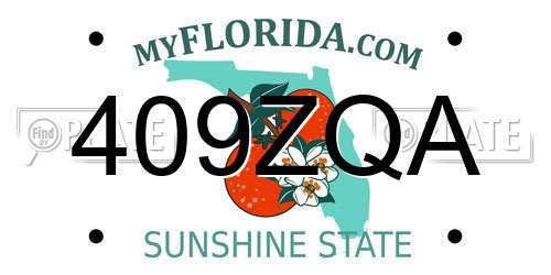 409ZQA Florida License Plate