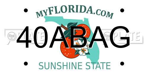 40ABAG Florida License Plate