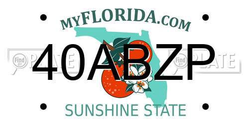 40ABZP Florida License Plate