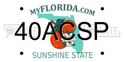 40ACSP Florida License Plate