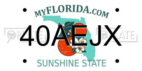 40AEJX Florida License Plate