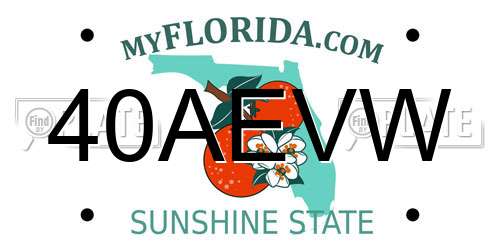 40AEVW Florida License Plate