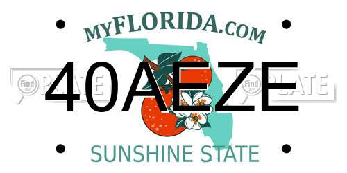 40AEZE Florida License Plate