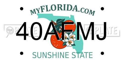 40AFMJ Florida License Plate