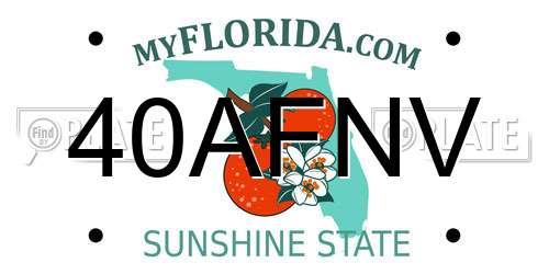 40AFNV Florida License Plate